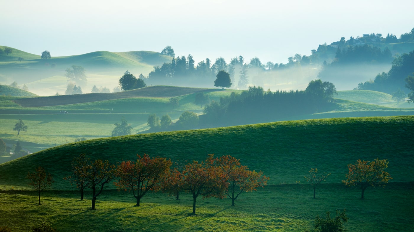ROOTS - 新潟・燕三条への想い